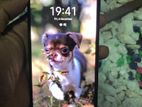 Samsung Galaxy M51 8GB/128GB (Used)