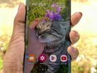 Samsung Galaxy Note 10 (Used)