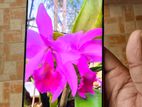 Samsung Galaxy S10 5G (Used)