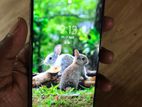 Samsung Galaxy S10 (Used)