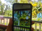 Samsung Galaxy S21 FE (Used)