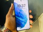 Samsung Galaxy S21 Plus (Used)
