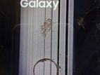 Samsung Galaxy S21 Ultra (Used)