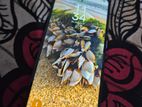 Samsung Galaxy S21 (Used)