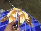 Samsung Galaxy S23 Ultra (Used)