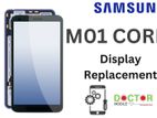 Samsung M01 CORE Display Replacement