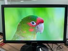 Samsung S19 D300 19" LED Monitor Widescreen