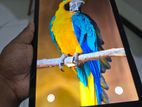 Samsung Tab A9 Plus