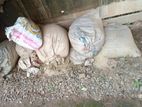Sand Bags