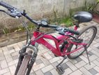 Sandpiper Bicycle