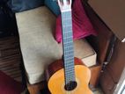 Santana Taiwan Classical Guitar