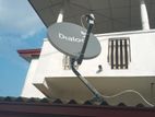 Dialog Satellite Dish