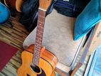 Acoustic Guitar