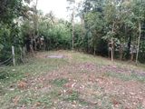 Land for Sale in Palapathwela