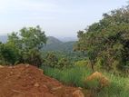 Scenic 110 Perches Land for Sale in Beragala