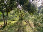 Scenic 309P Land for sale in Kundasale, Kandy (SL 13135)