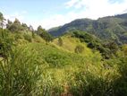 Scenic Ella View Land for Sale Mahamewnawa
