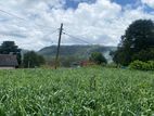 Scenic Freehold Land for Sale Near Nuwara Eliya Town