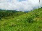 Scenic Hill Country Land for Sale – Hatton