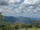 Scenic Land for Sale in Haputale Beragala