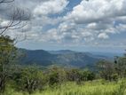 SCENIC LAND FOR SALE IN HAPUTALE BERAGALA TOURISM BELT