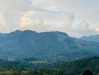 Scenic Mountain View Land for Sale – Doluwa, Kandy
