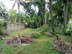 Scenic paddy facing 12P land for sale in Amaragoda Rd,Hokandara (SL13184