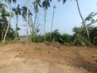 Scenic Paddy-Field Facing Land for Sale in Delgoda