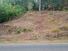 Scenic Road Facing Land for Sale, Halpe, Belihuloya.