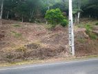 Scenic Road Facing Land for Sale, Halpe, Belihuloya