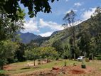Land for Sale Nidangoda