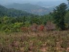 Scenic View Land for Sale in Kandy District