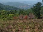 Scenic View Land for Sale in Kandy District