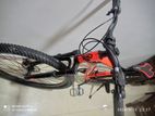 Schnell Italian Design Mountain Bike