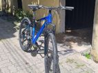 Schnell Maverick Mountain Bicycle