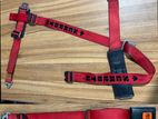 Schroth Racing Harness