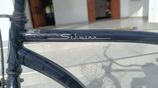 Schwinn Classic Cruiser Bicycle for Sale
