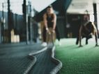 Science Based Personal Training