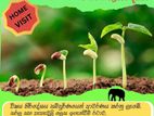 Science Class - Grade 6-11