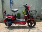 E Bike 2024