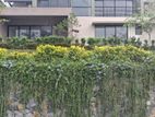 Scottish Villas for sale in Kandy Digana