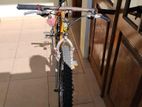 Scout Bicycle
