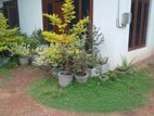 (SD152) House for Sale in Kandana