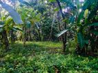 (SD154) Land for Sale in Ragama