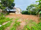 (SD155) Land for Sale in Ragama