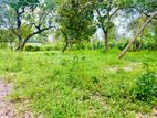 (SD156) Land for Sale in Ja Ela