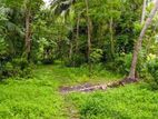 ( SDC-349)Valuable Commercial Bare Land Sale in Moratuwa
