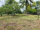 ( SDC-363) Valuable Commercial Bare Land Sale in Homagama