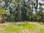 (SDL-505) Valuable Bare Land for Sale in Polgasowita