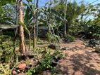 (SDL-543) Valuable Bare Land for Sale in Kottawa